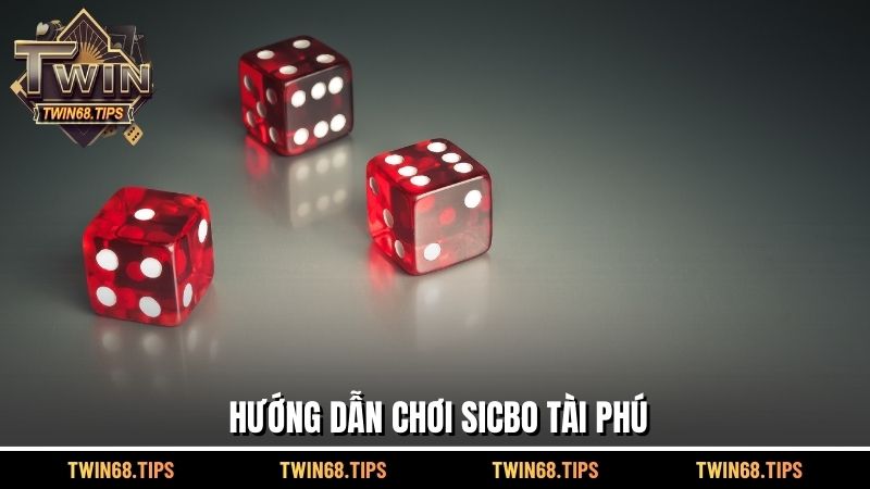 Hướng dẫn chơi Sicbo Tài Phú 