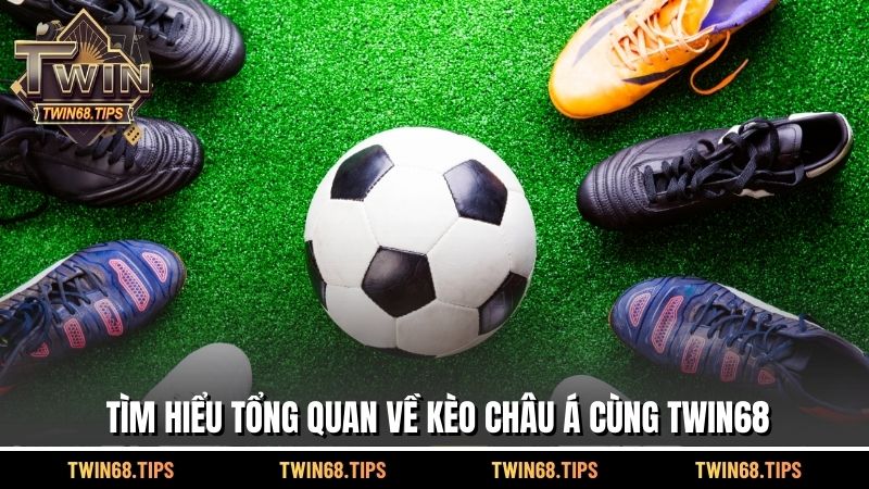 Tìm hiểu tổng quan về Kèo Châu Á cùng TWIN68