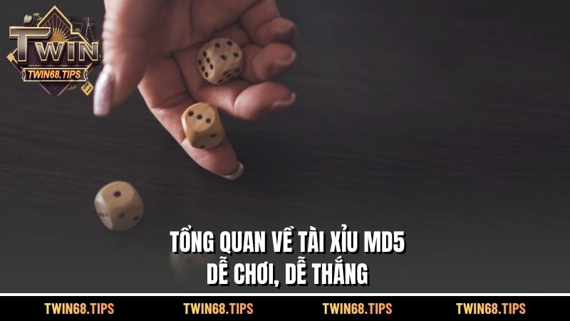 Tổng quan về Tài xỉu MD5 – dễ chơi, dễ thắng